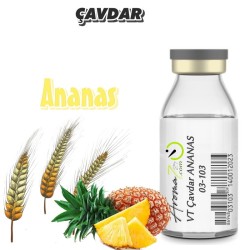 03-103 Ananas Çavdar AroMix